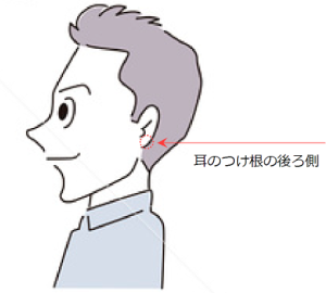 耳たぶの後ろ